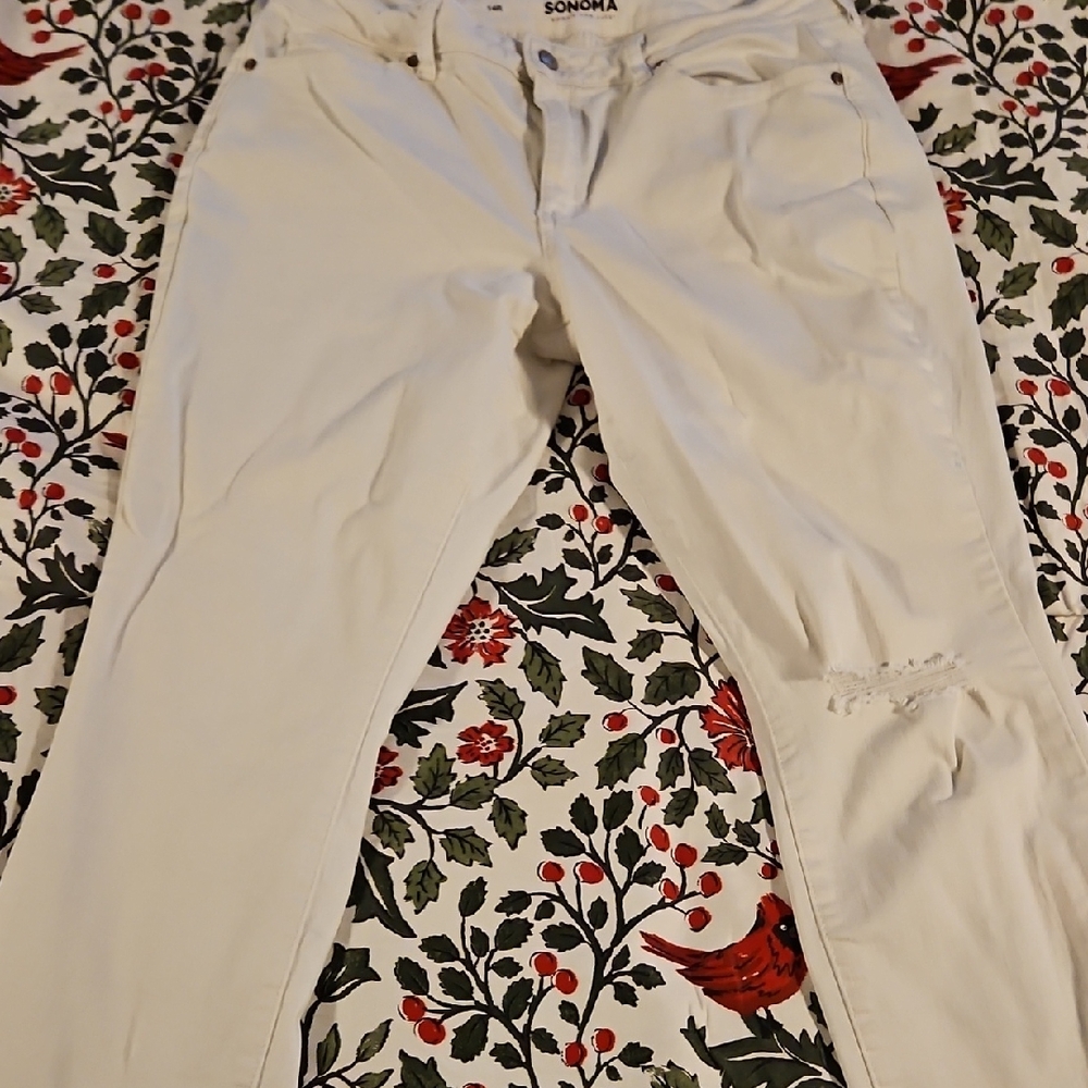 Sonoma Cream Casual Pants